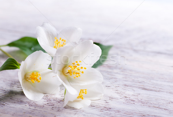  jasmine white flower on white wood background Stock photo © Konstanttin