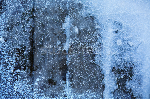 Inverno neve geada textura de madeira Foto stock © Konstanttin