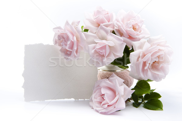 [[stock_photo]]: Bouquet · roses · romantique · accueil · cartes · papier