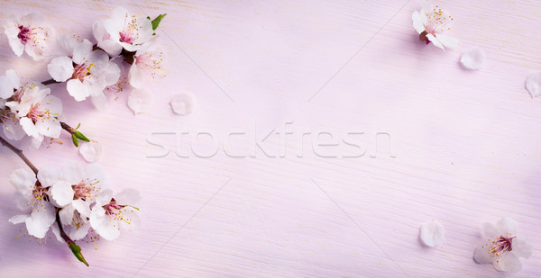 Art printemps fraîches fleur bleu Photo stock © Konstanttin