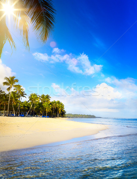Stock fotó: Nyár · trópusi · tengerpart · békés · vakáció · nap · háttér