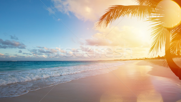 Art Summer vacation ocean beach  Stock photo © Konstanttin