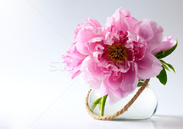 Fleurs du printemps vase blanche mariage nature art Photo stock © Konstanttin