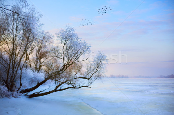 Frumos iarnă peisaj inghet Imagine de stoc © Konstanttin