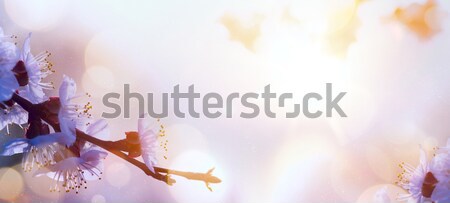 art Spring flower background; Easter landscape Stock photo © Konstanttin