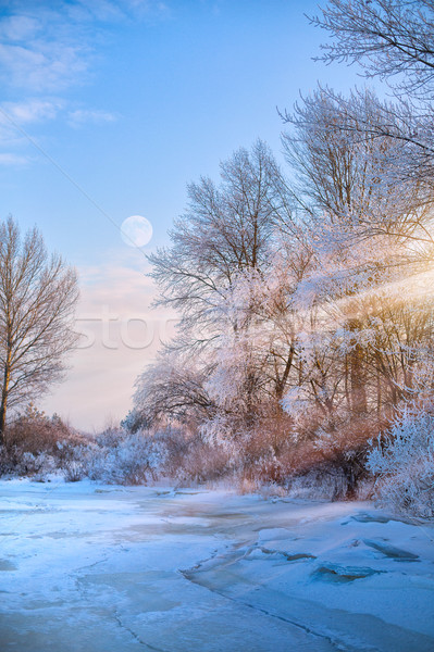 Stock photo: beautiful winter nature view; winter landscape On A Hoar Frost