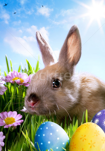 Сток-фото: искусства · Пасху · ребенка · кролик · пасхальных · яиц · весны
