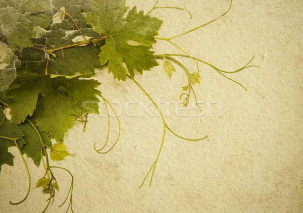 abstrakny background to design a wine list Stock photo © Konstanttin