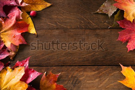 Stock photo: yellow  autumn leaves on background old wood