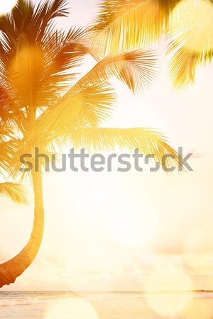 Art Summer vacation ocean beach  Stock photo © Konstanttin