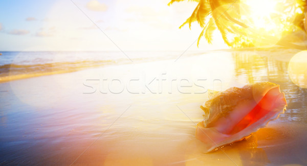 [[stock_photo]]: Art · vacances · coucher · du · soleil · plage · tropicale · fond · Voyage