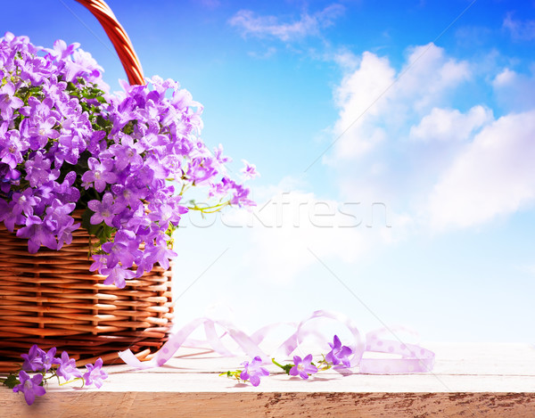 Wiosennych kwiatów koszyka niebo chmury słońce streszczenie Zdjęcia stock © Konstanttin