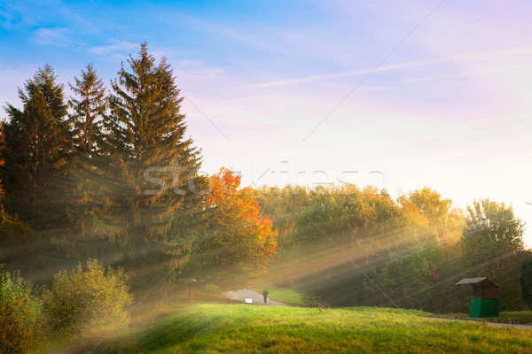 sunrise in the autumn park Stock photo © Konstanttin