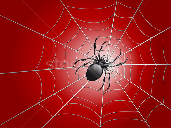 Spinne schwarz Tier Angst Entsetzen Gefahr Stock foto © konturvid