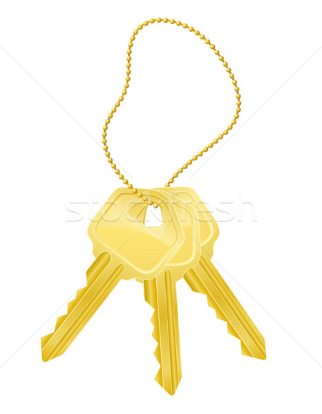 set keys door lock vector illustration Stock photo © konturvid