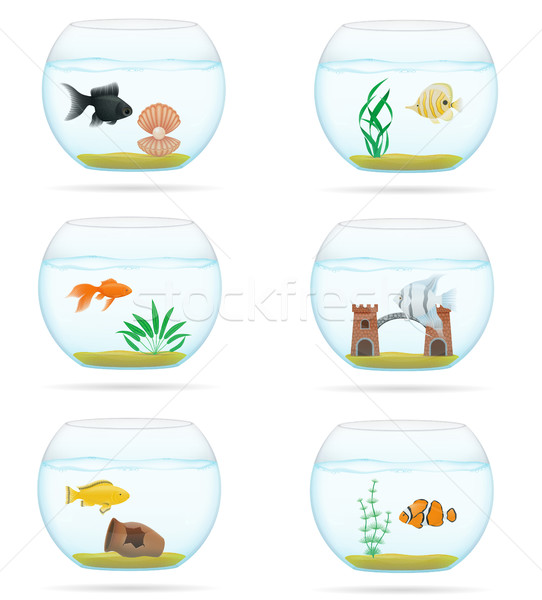 fish in a transparent aquarium vector illustration Stock photo © konturvid