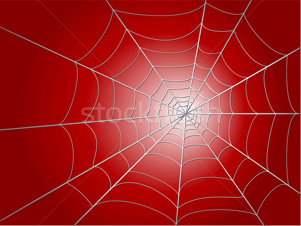 spider wed Stock photo © konturvid