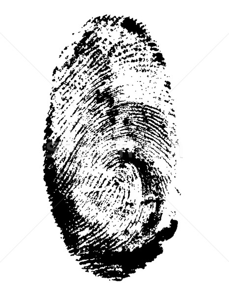 fingerprint black vector illustration Stock photo © konturvid