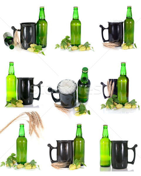 Bier hop isoliert weiß Glas trinken Stock foto © konturvid