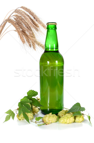 beer and hop Stock photo © konturvid