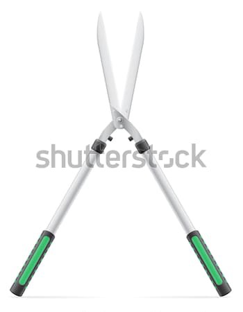 garden tool secateurs vector illustration Stock photo © konturvid