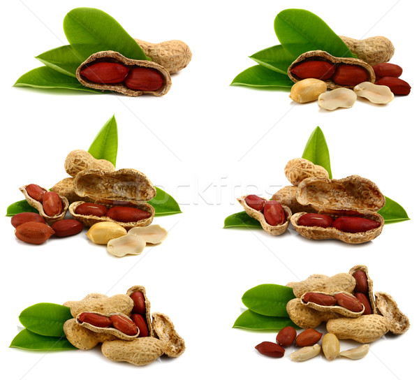 Amendoim isolado branco natureza fundo cor Foto stock © konturvid