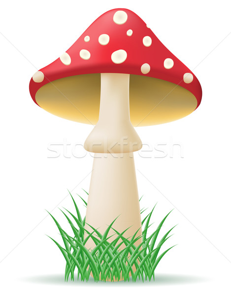 mushroom amanita vector illustration Stock photo © konturvid