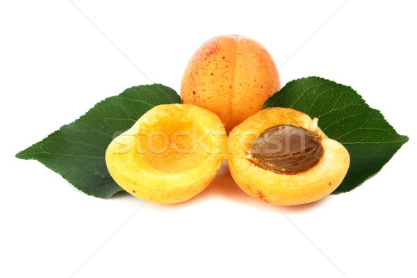 [[stock_photo]]: Abricot · isolé · blanche · feuille · fruits · fond