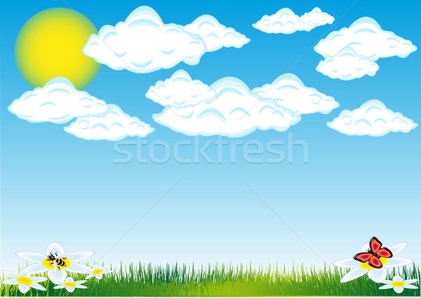Doğa bulut güneş çim örnek çiçek Stok fotoğraf © konturvid
