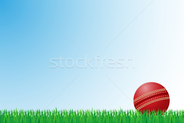 Cricket grasveld geïsoleerd gras fitness achtergrond Stockfoto © konturvid