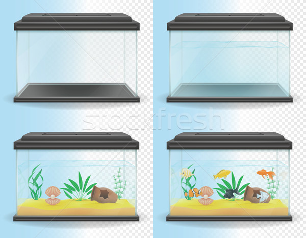 transparent aquarium vector illustration Stock photo © konturvid