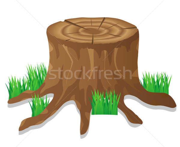 stump vector illustration Stock photo © konturvid