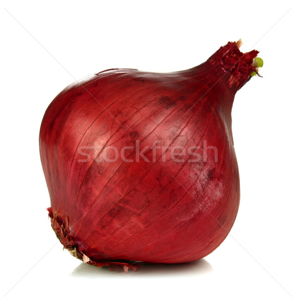 onion Stock photo © konturvid