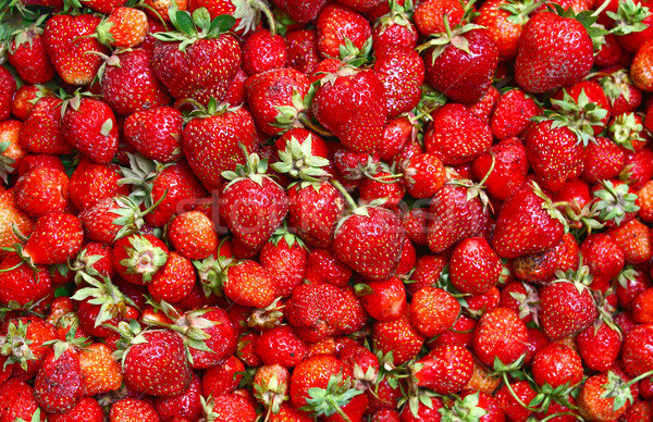 much ripe strawberies Stock photo © konturvid