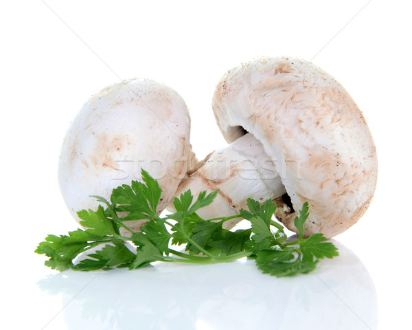Pieczarka grzyby pietruszka odizolowany biały zielone Zdjęcia stock © konturvid