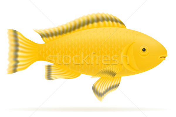 aquarium fish vector illustration Stock photo © konturvid