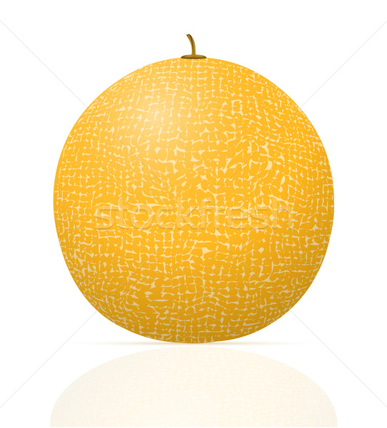 Melon dojrzały soczysty odizolowany biały owoców Zdjęcia stock © konturvid