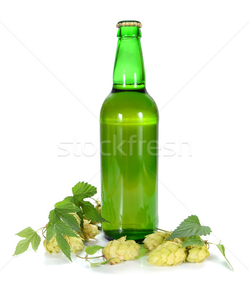 beer and hop Stock photo © konturvid