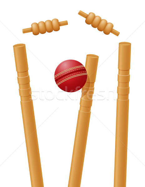 cricket ball caught in the wicket vector illustration Stock photo © konturvid
