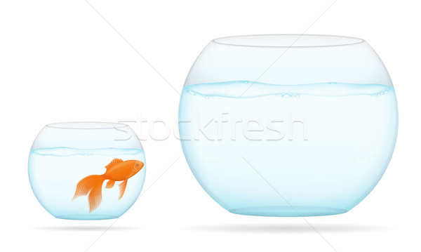 fish in a transparent aquarium vector illustration Stock photo © konturvid