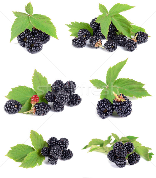 ripe blackberry with green leaves Stock photo © konturvid