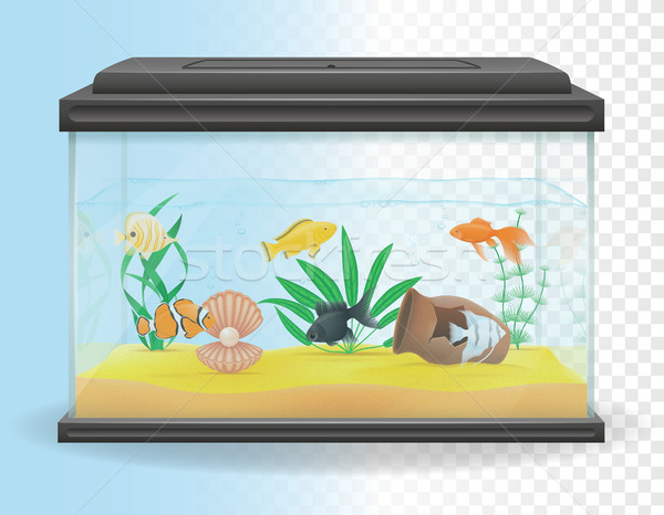 transparent aquarium vector illustration Stock photo © konturvid