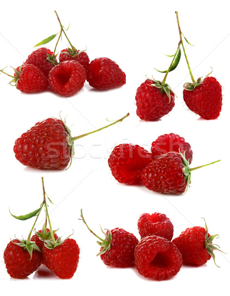 [[stock_photo]]: Rouge · framboise · isolé · blanche · feuille