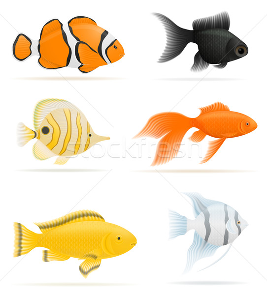 aquarium fish vector illustration Stock photo © konturvid