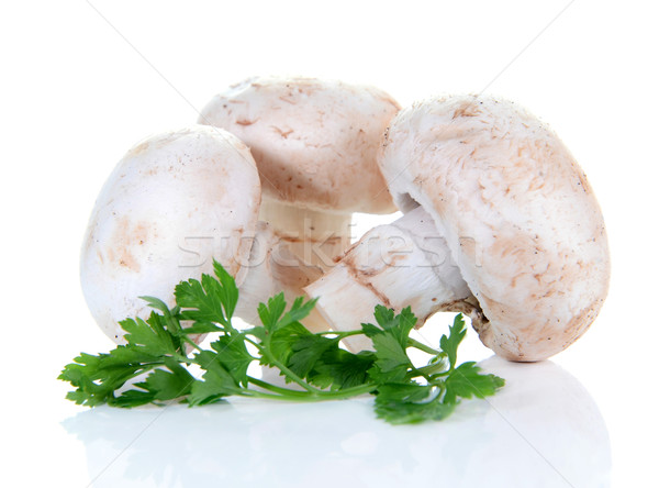 香蕈 蘑菇 香菜 孤立 白 綠色 商業照片 © konturvid