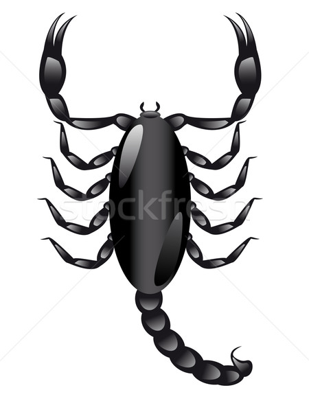 скорпион белый иллюстрация черный темно животного Сток-фото © konturvid