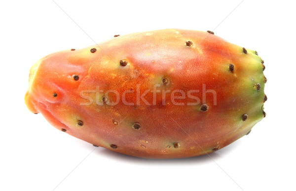 fruit of cactus Stock photo © konturvid