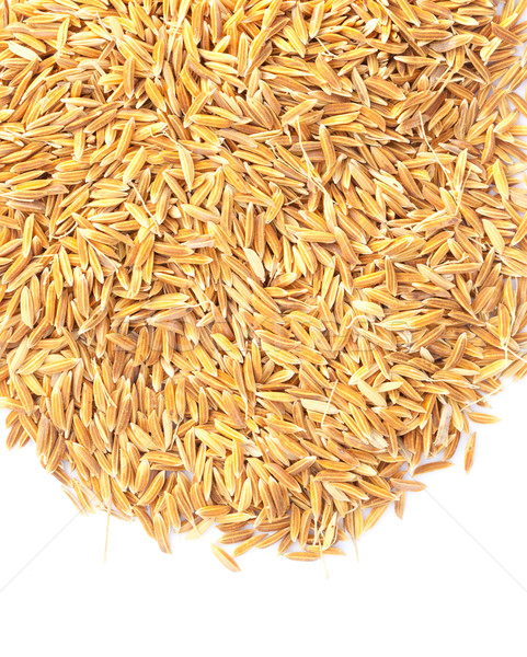 Rice Paddy Stock photo © koratmember
