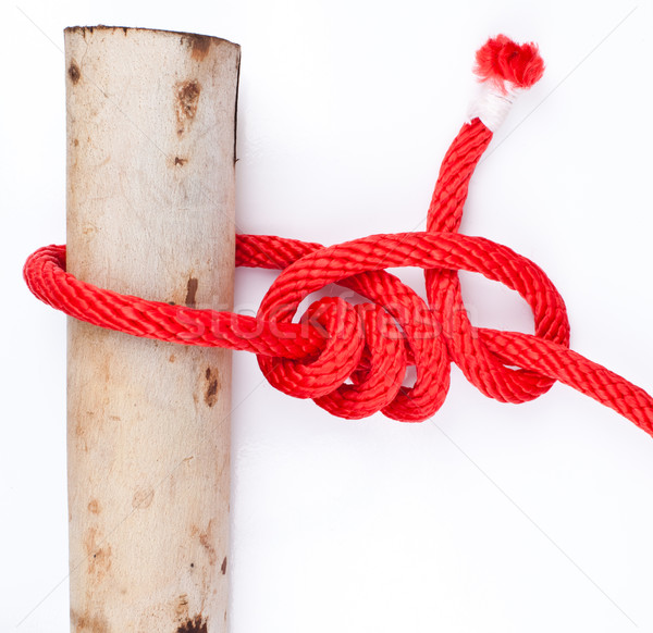 knot series : tarbuck knot Stock photo © koratmember