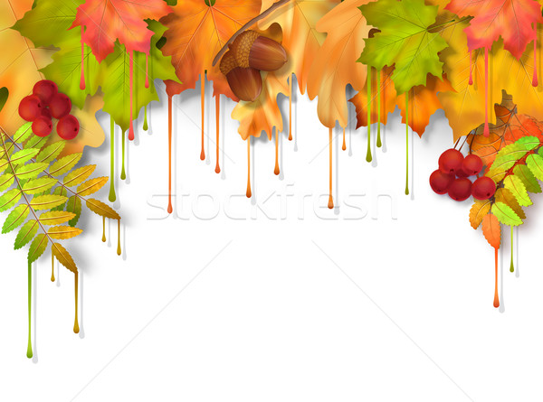 Autumn Vector Dripping Paint Leaves Stock photo © kostins